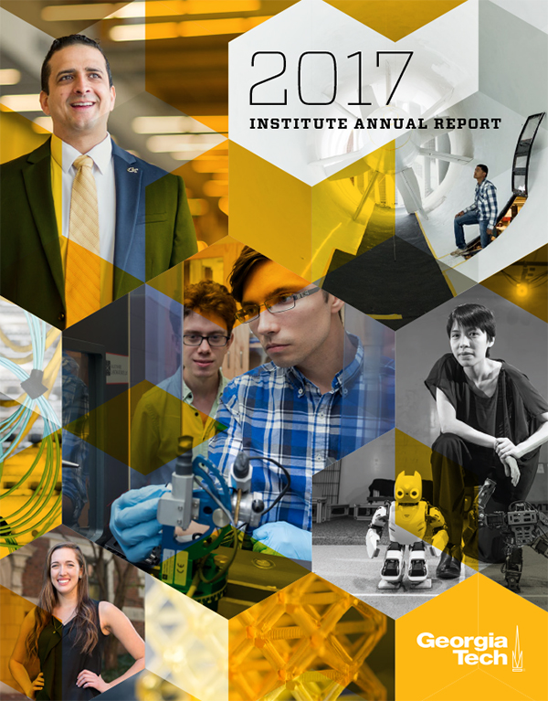 Cover of 2017 Annual Report